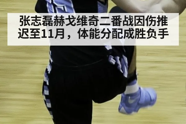 张志磊赫戈维奇二番战因伤推迟至11月，体能分配成胜负手